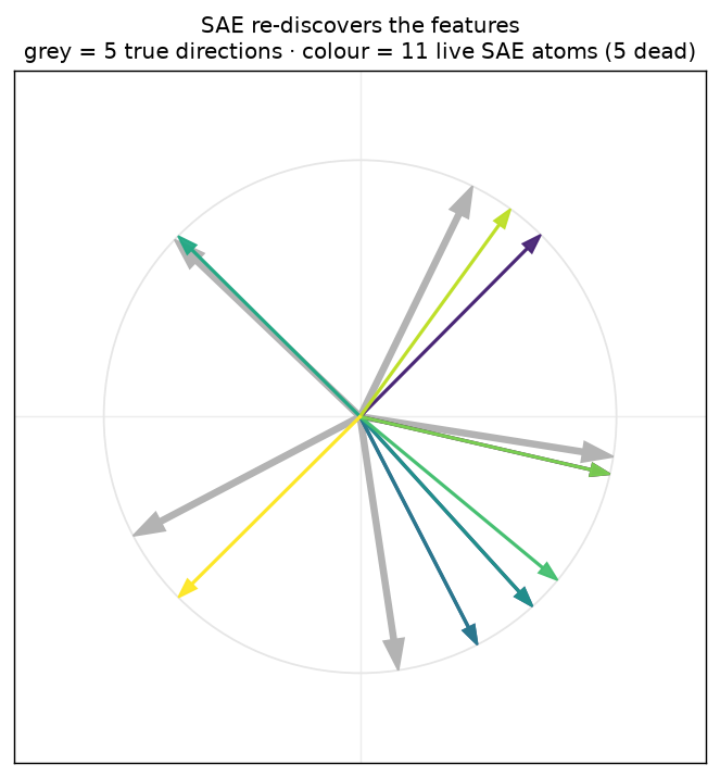 SAE learned atoms land on the true feature directions