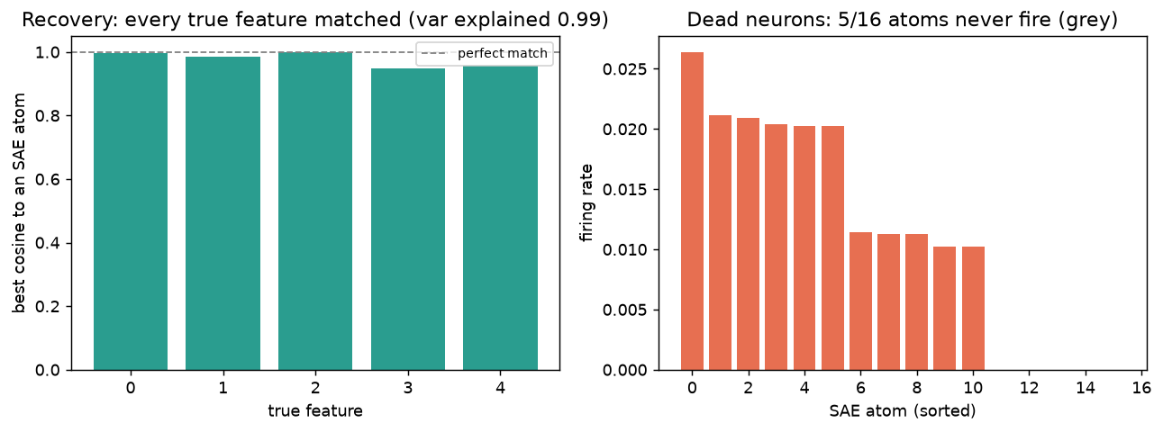 recovery per feature and dead neurons